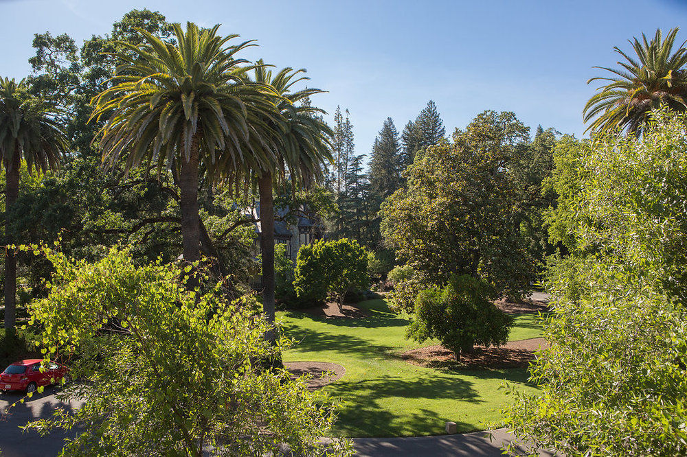 Alila Napa Valley, A Hyatt Resort Сент-Хелина Экстерьер фото
