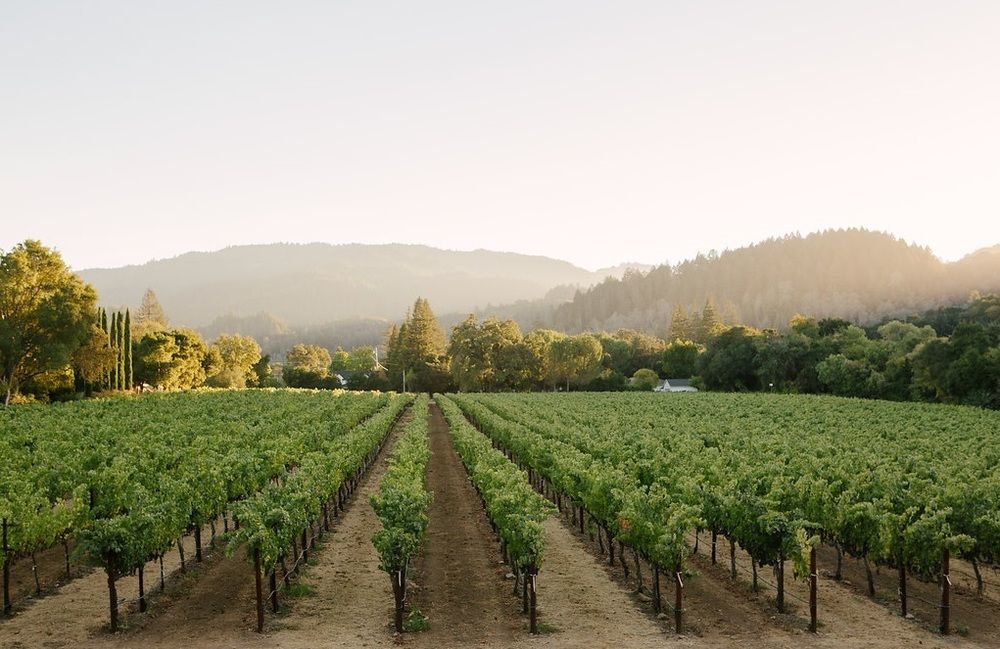 Alila Napa Valley, A Hyatt Resort Сент-Хелина Экстерьер фото