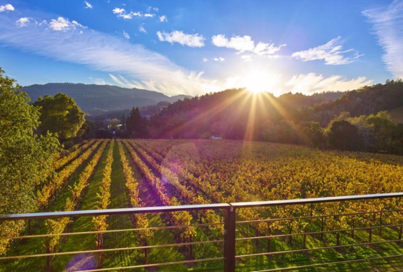 Alila Napa Valley, A Hyatt Resort Сент-Хелина Экстерьер фото