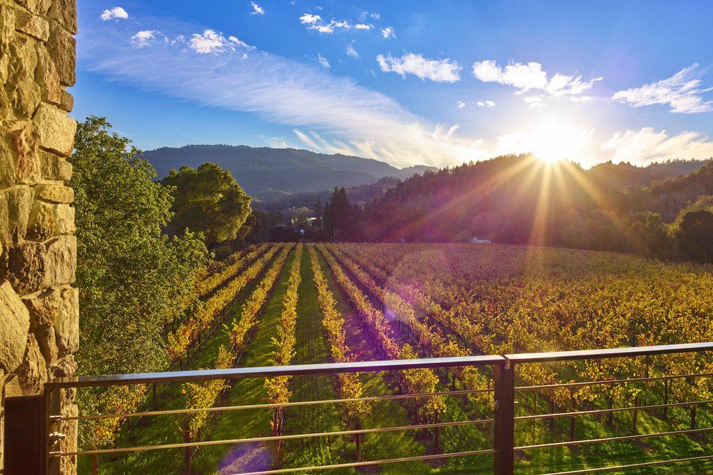 Alila Napa Valley, A Hyatt Resort Сент-Хелина Экстерьер фото